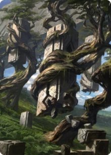 Forest - Art 3 - Zendikar Rising - Art Series