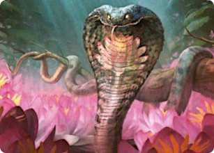 Cobra de lotus - Illustration - 