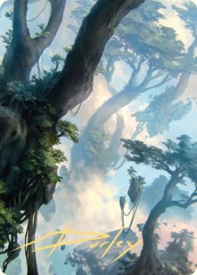 Forest - Art 2 - Zendikar Rising - Art Series