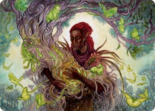 Circle of Dreams Druid - Art - 