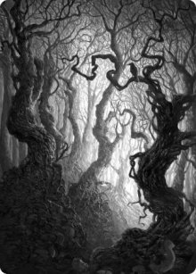 Forêt - Illustration - 