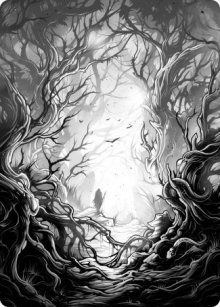 Forêt - Illustration - 