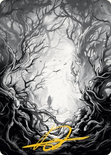 Forêt - Illustration - 