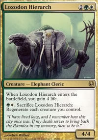 Hirarche loxodon - 