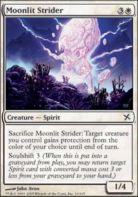 Moonlit Strider - 