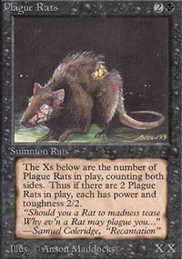 Rats de la peste - 