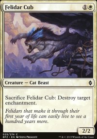 Felidar Cub - 