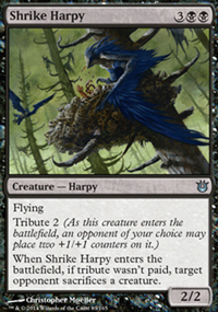 Shrike Harpy - 