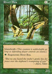 River Boa - 