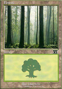 Forest - 