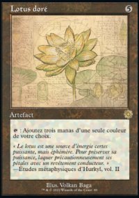 Lotus dor - 