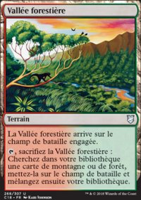 Vallée forestière - 