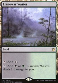 Llanowar Wastes - 