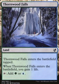 Thornwood Falls - 