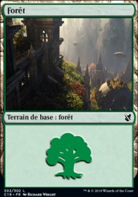 Forêt - 