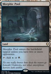 Morphic Pool - 