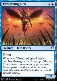 Thrummingbird - 