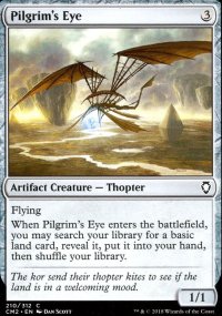 Pilgrim's Eye - 