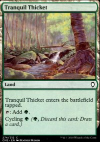 Tranquil Thicket - 