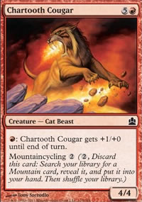 Chartooth Cougar - 