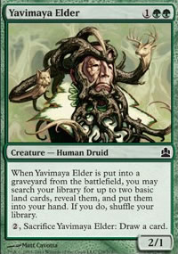 Yavimaya Elder - 