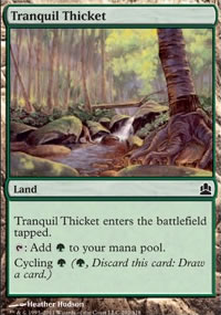 Tranquil Thicket - 