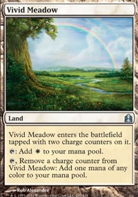 Vivid Meadow - 