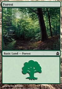 Forest - 