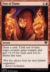 Fists of Flame - 