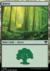 Forest - 