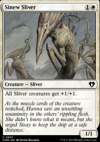 Sinew Sliver - Commander Masters