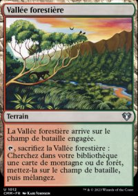 Vallée forestière - 