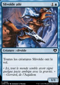 Slivode ail - 