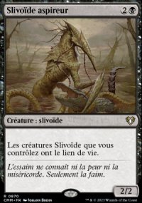 Slivode aspireur - 