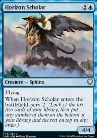 Horizon Scholar - 