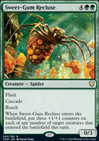 Sweet-Gum Recluse - 