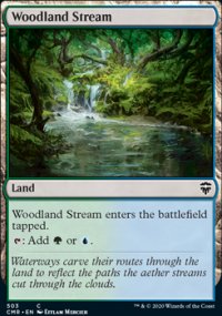 Woodland Stream - 