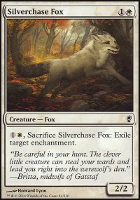 Silverchase Fox - 