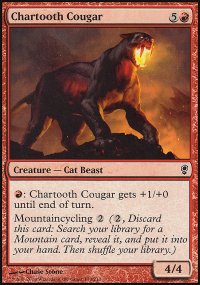 Chartooth Cougar - 