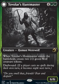 <br>Tovolar's Packleader