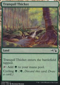 Tranquil Thicket - 