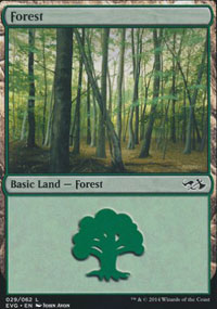 Forest - 