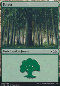 Forest - 