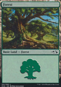 Forest 4 - Duel Decks : Anthology