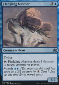 Fledgling Mawcor - Duel Decks : Anthology