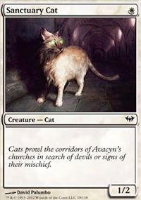 Sanctuary Cat - Dark Ascension