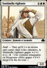 Sentinelle vigilante - 