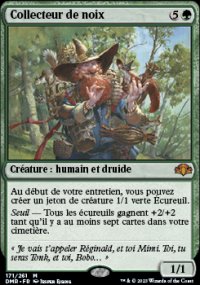 Collecteur de noix - 