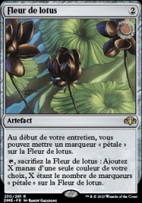 Fleur de lotus - 