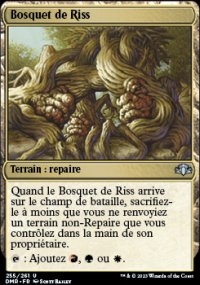Bosquet de Riss - 